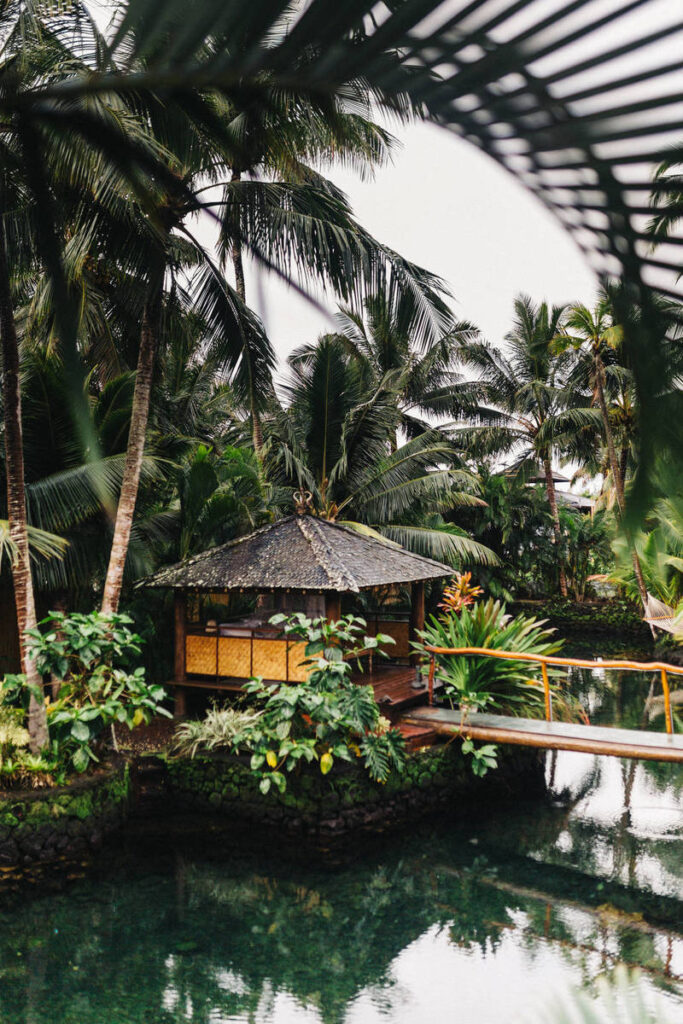 Apple Planning Big Mac Redesign and Half-Sized Old Mac