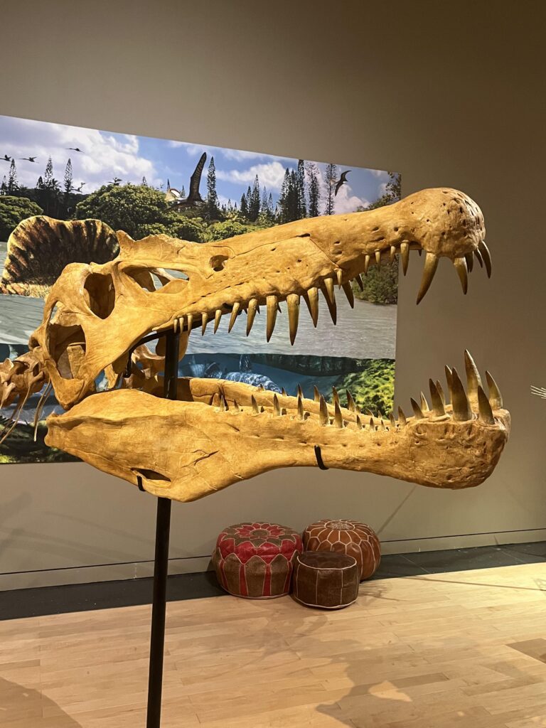 Nova espécie de dinossauro com crista em forma de cimitarra é descoberta no Saara