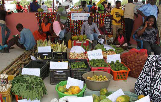 Feira agrícola de Cambulo escoa 21 toneladas e reforça potencial produtivo da Lunda-Norte