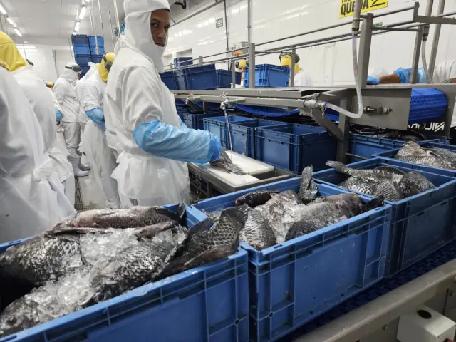 Nova unidade pesqueira reforça capacidade industrial e emprego na Baía Farta